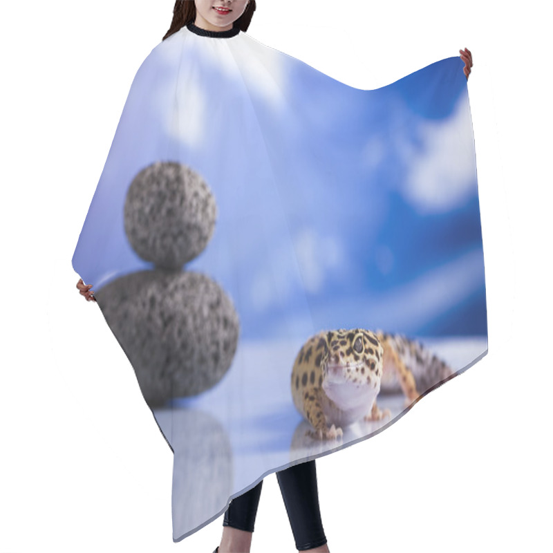 Personality  Leopard Gecko Hair Cutting Cape