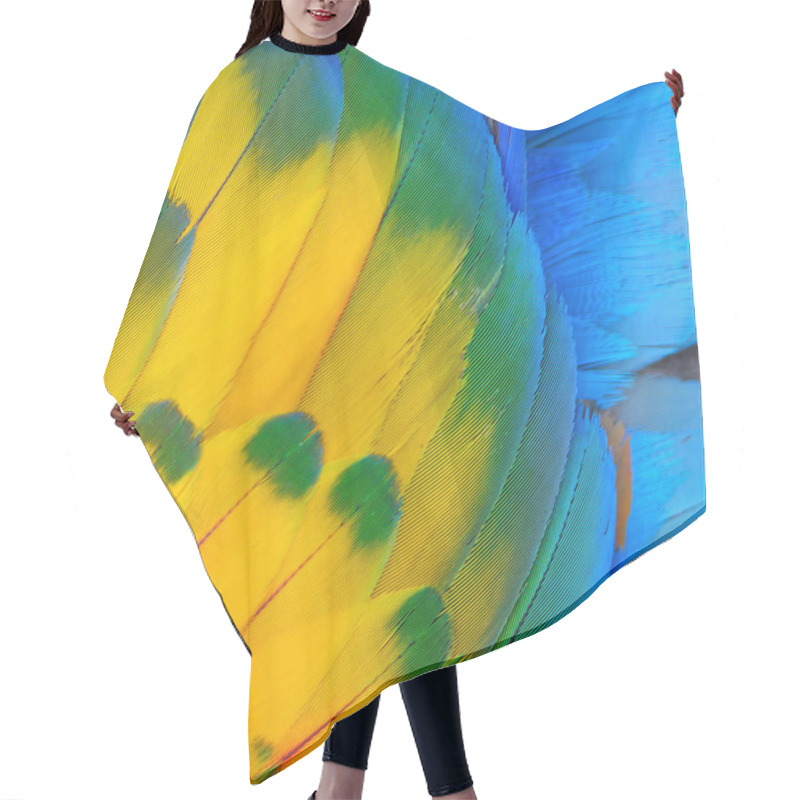 Personality  Scarlet Macaw Feathers Hair Cutting Cape