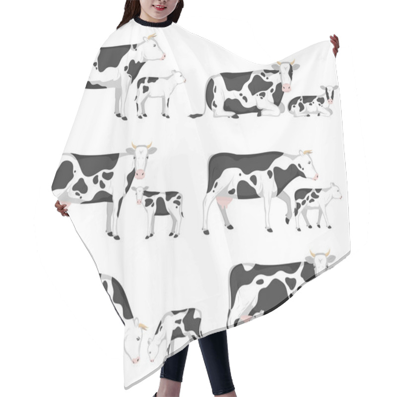 Personality  Vector Holstein Cows And Calves In Different Poses Isolated On White For Farms, Groceries, Packaging And Branding. Hair Cutting Cape