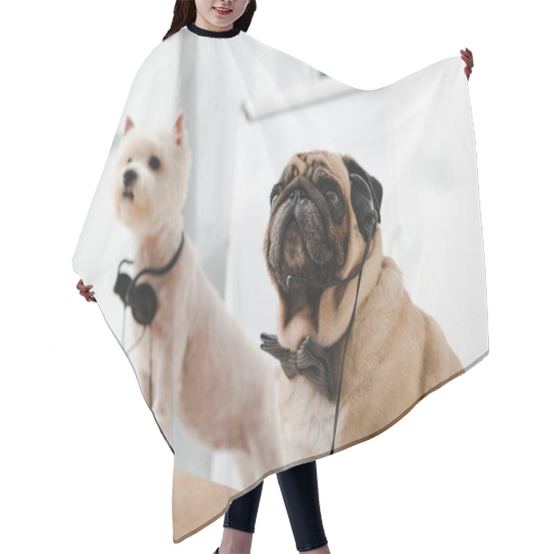 Personality  Business Dogs With Headsets Hair Cutting Cape