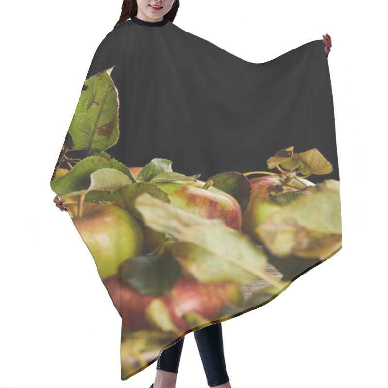 Personality  Ripe Apples With Leaves And Branches Isolated On Black Hair Cutting Cape