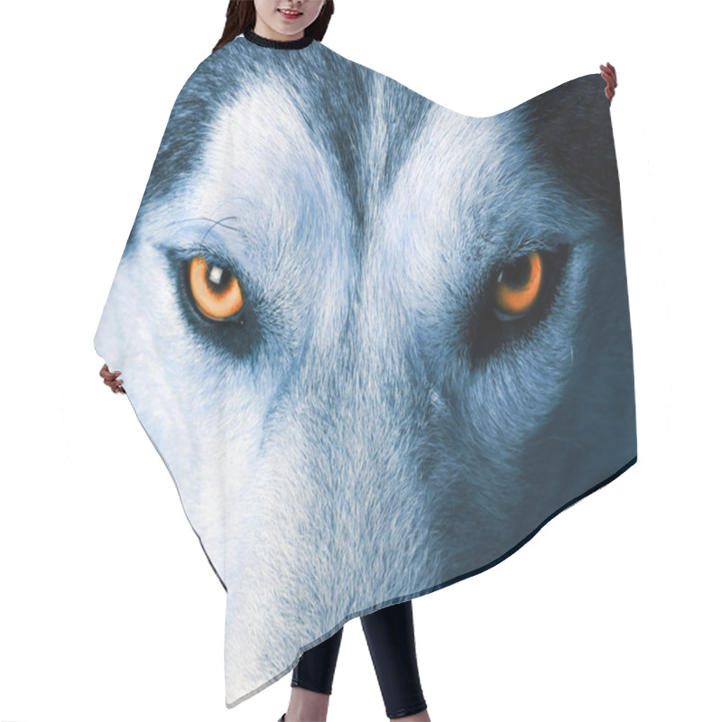 Personality  Eyes Of Wolf Hair Cutting Cape