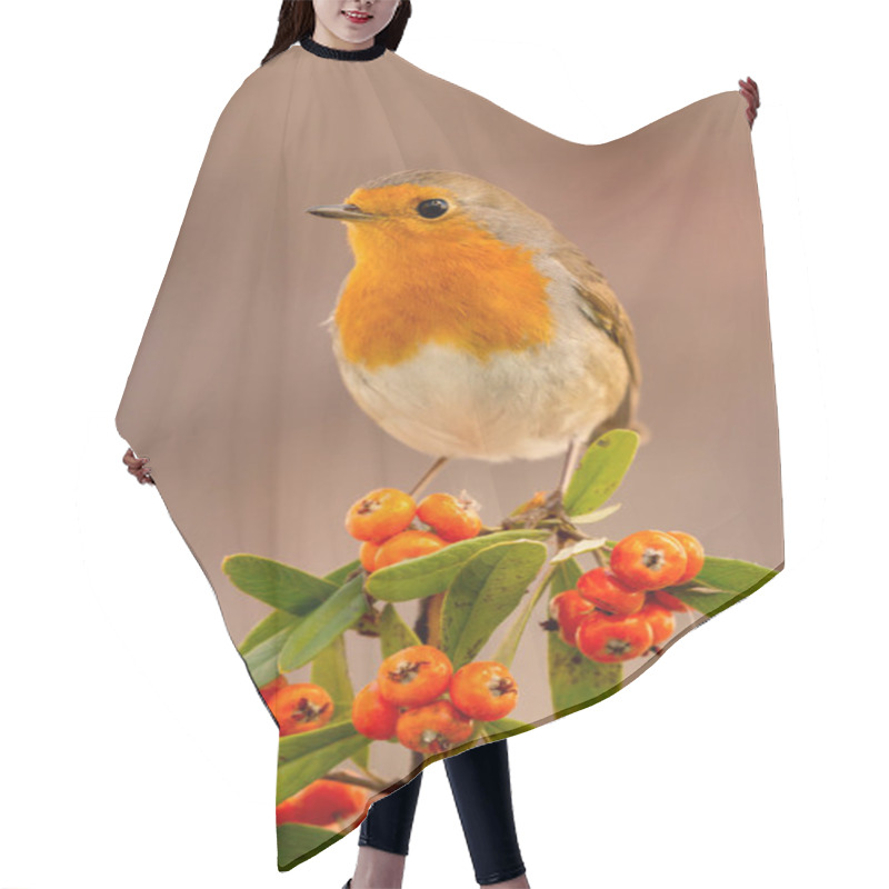 Personality  Beautiful Small Bird  Hair Cutting Cape