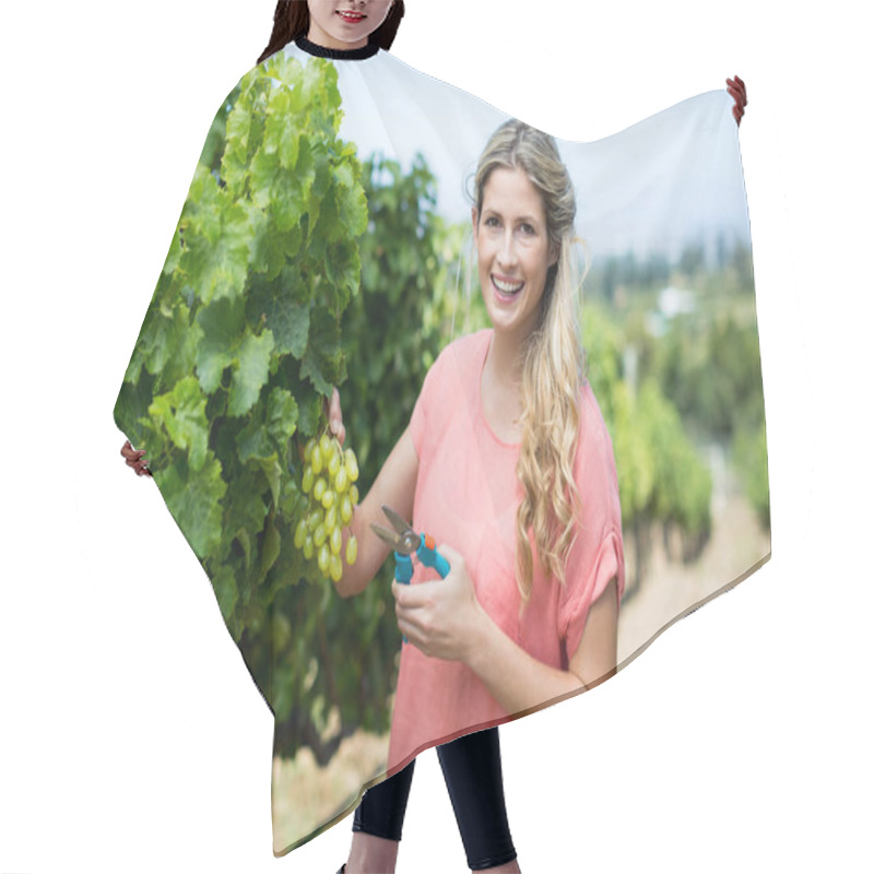 Personality  Woman Cutting Grapes Through Pruning Shears Hair Cutting Cape