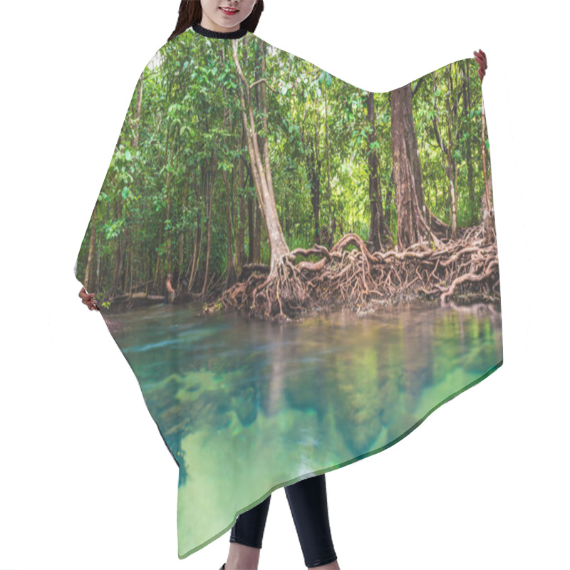 Personality  Mangrove Trees With The Turquoise Green Water Stream Hair Cutting Cape