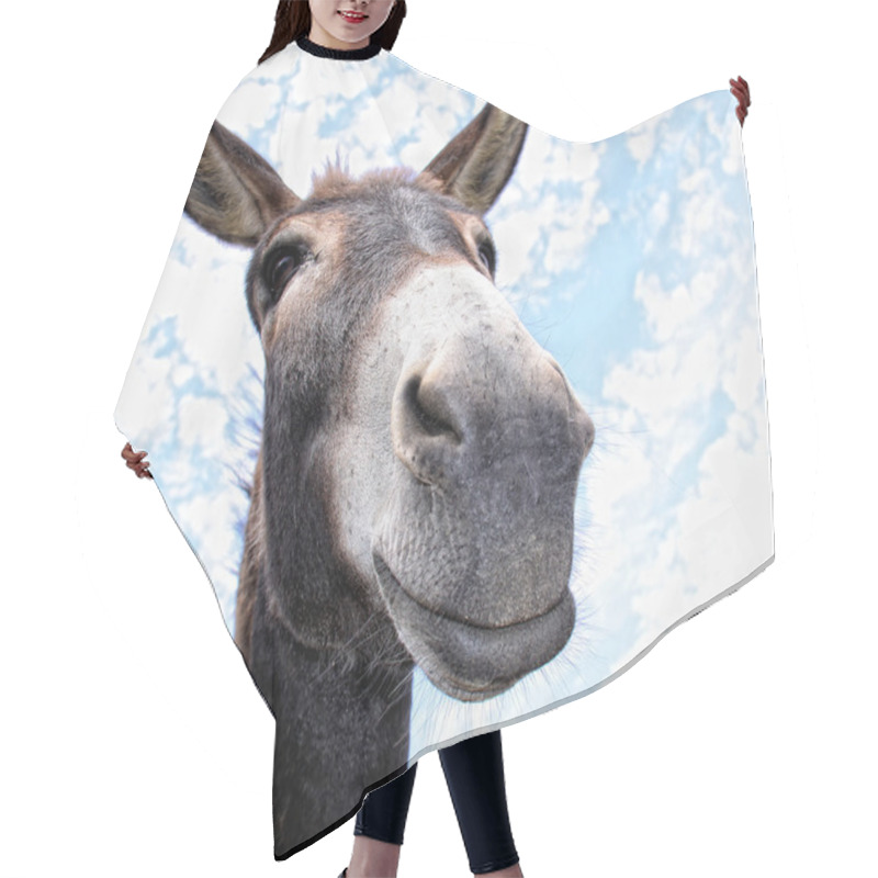 Personality  Funny Donkey Hair Cutting Cape