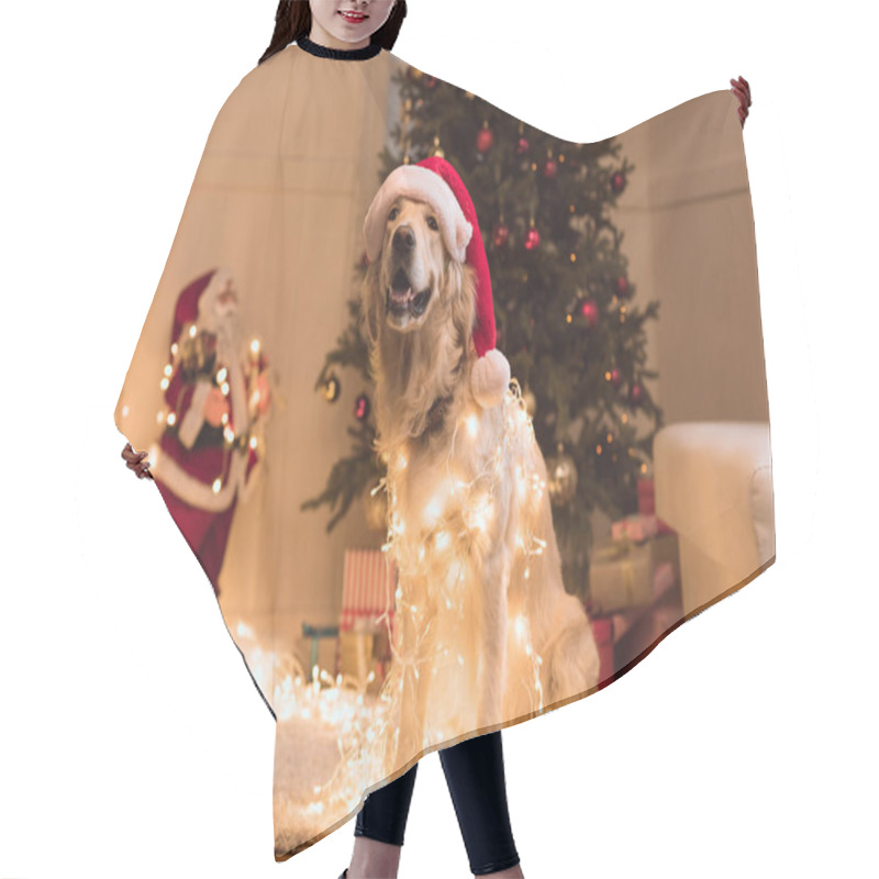 Personality  Dog In Santa Hat  Hair Cutting Cape