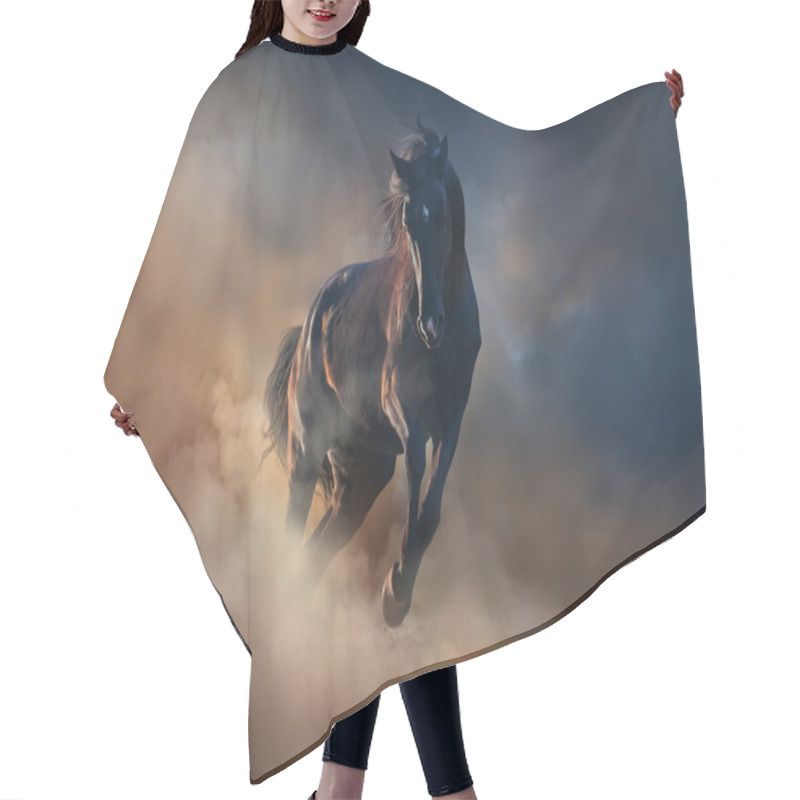 Personality  Black Stallion Horse Hair Cutting Cape