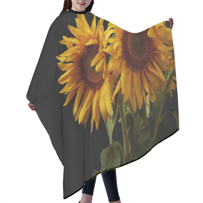 Personality  Summer Bouquet With Yellow Sunflowers, Isolated On Black Hair Cutting Cape