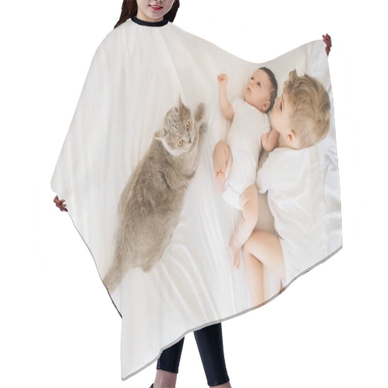 Personality  Overhead View Of Cute Little Brothers In White Bodysuits And Grey Cat Lying On Bed Together At Home Hair Cutting Cape