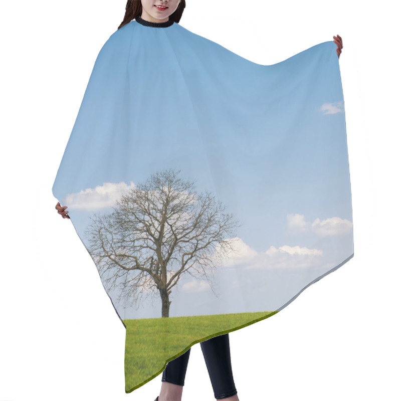 Personality  Leafless Tree Hair Cutting Cape