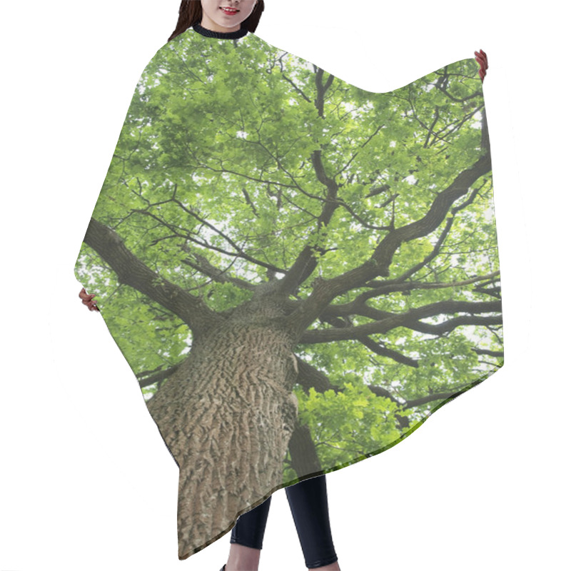 Personality  Green Oak Tree Hair Cutting Cape