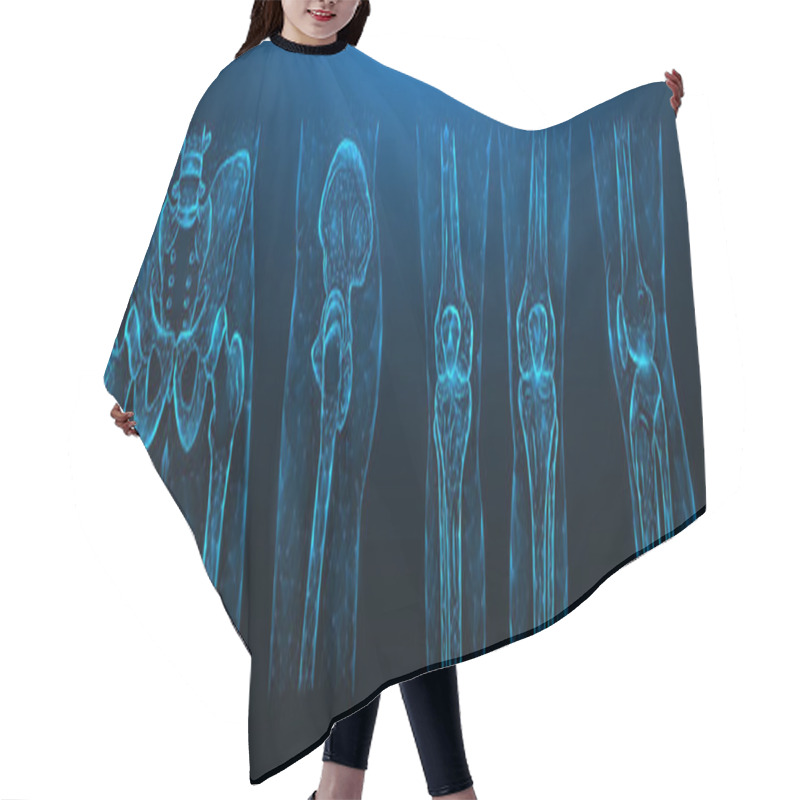 Personality  Polygonal Vector Illustration Of The Pelvis, Hip Joint And Knees On A Dark Blue Background. Human Anatomy Medical Template. Hair Cutting Cape