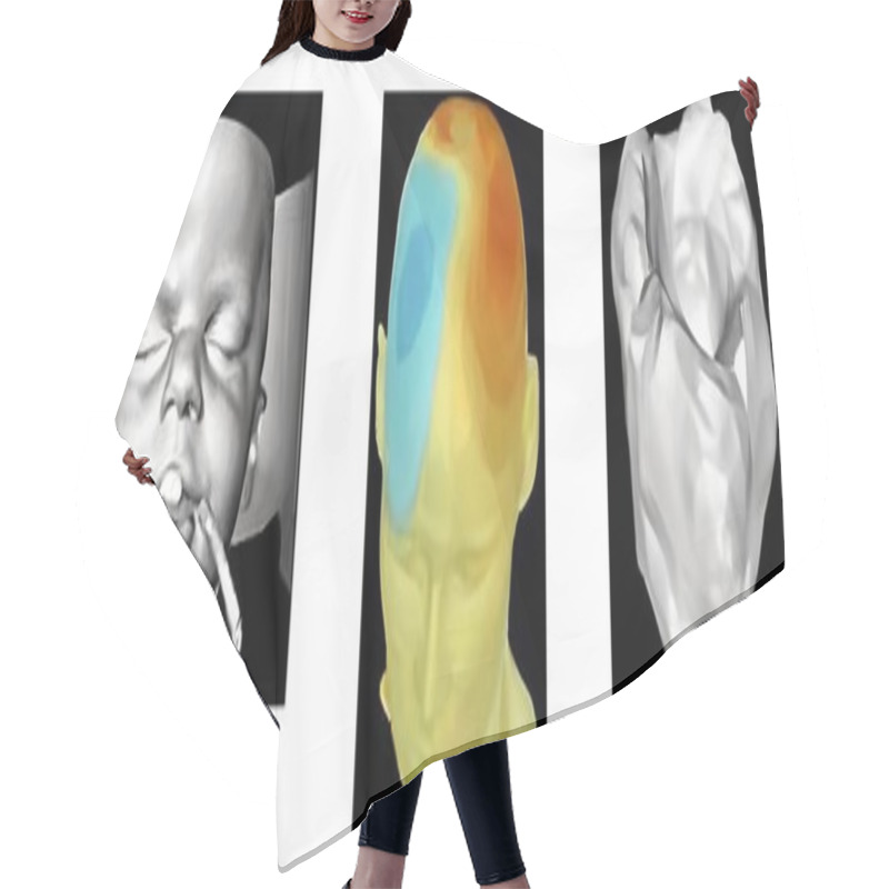 Personality  Composite View Showcasing 3D Medical Imaging. Features A Detailed Cranial Heatmap, Neural Activity Mapping, And Reconstructed Anatomical Models For Research And Diagnostics. Hair Cutting Cape