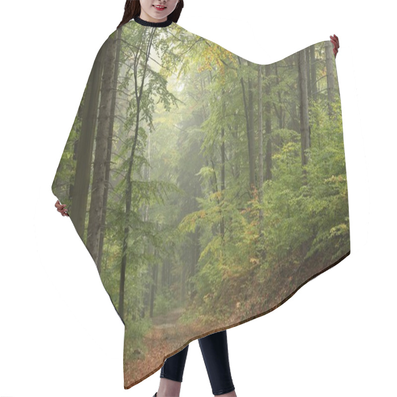 Personality  Path Through The Enchanted Forest Hair Cutting Cape