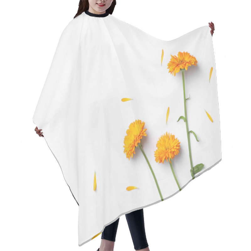 Personality  Flat Lay Composition With Wild Flowers On White Background Hair Cutting Cape