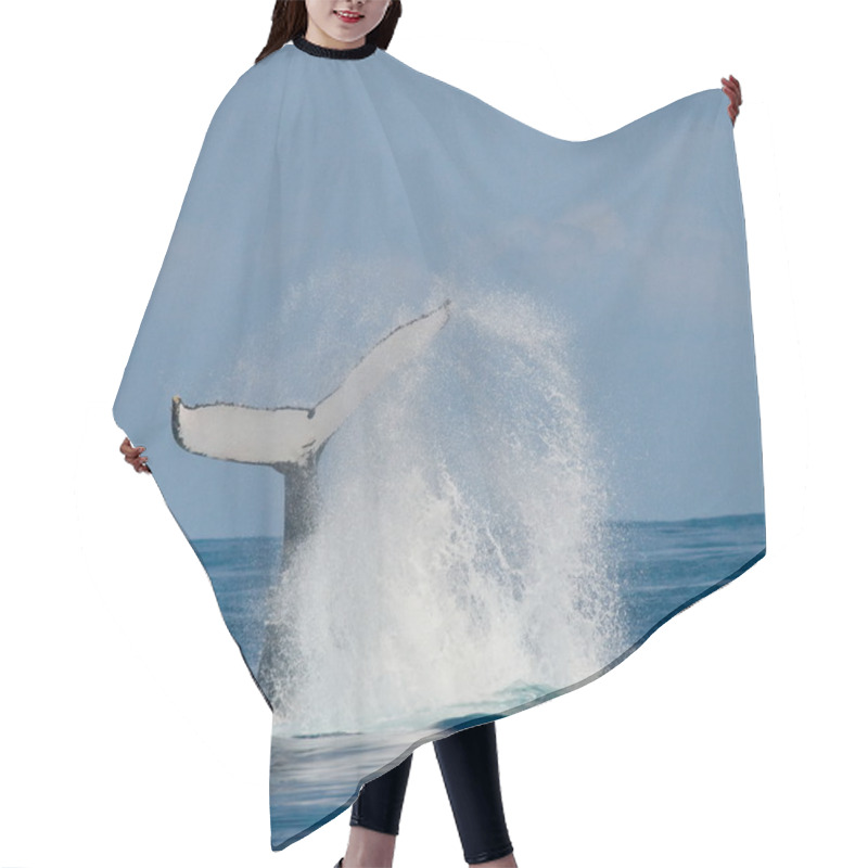 Personality  Humpback Whale Jumping Out Of The Water Hair Cutting Cape