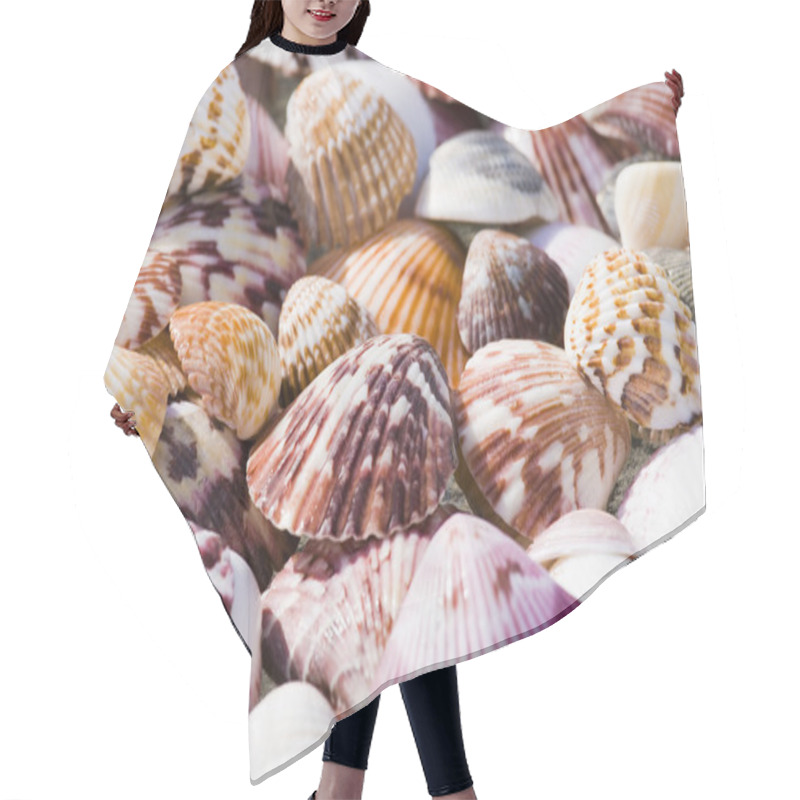 Personality  Shells Hair Cutting Cape