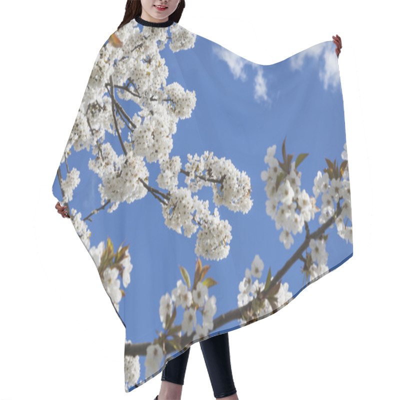 Personality  White Cherry Blossoms Hair Cutting Cape