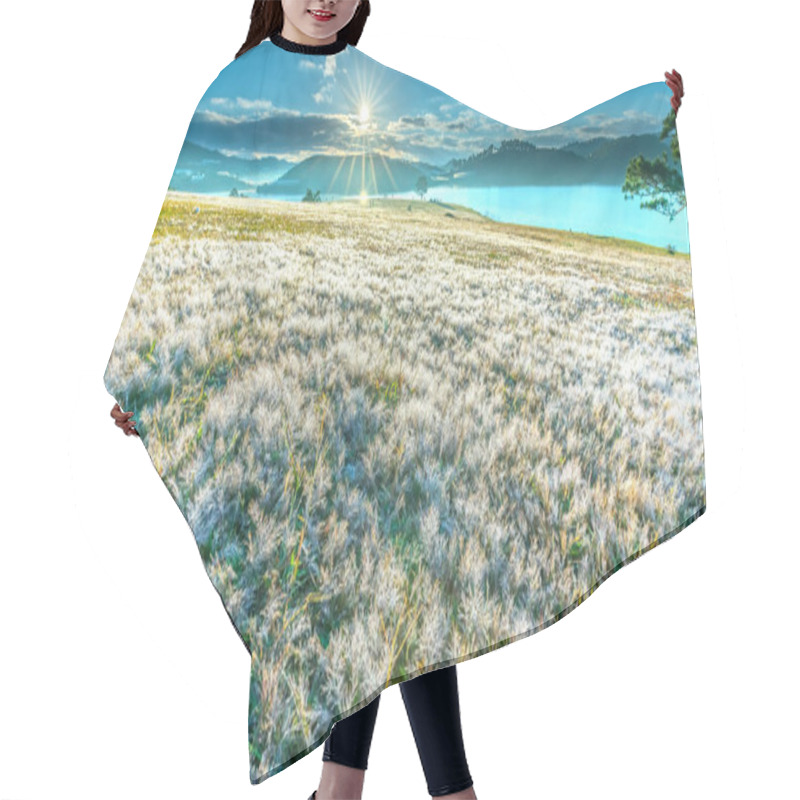 Personality  Magical Snow Grass And Pine Tree Dawn When The Sun Shines Mysterious Rays Into The Grass Covered With Sparkling Dew. It's Great To See The Scenery Here To Welcome The New Day Hair Cutting Cape