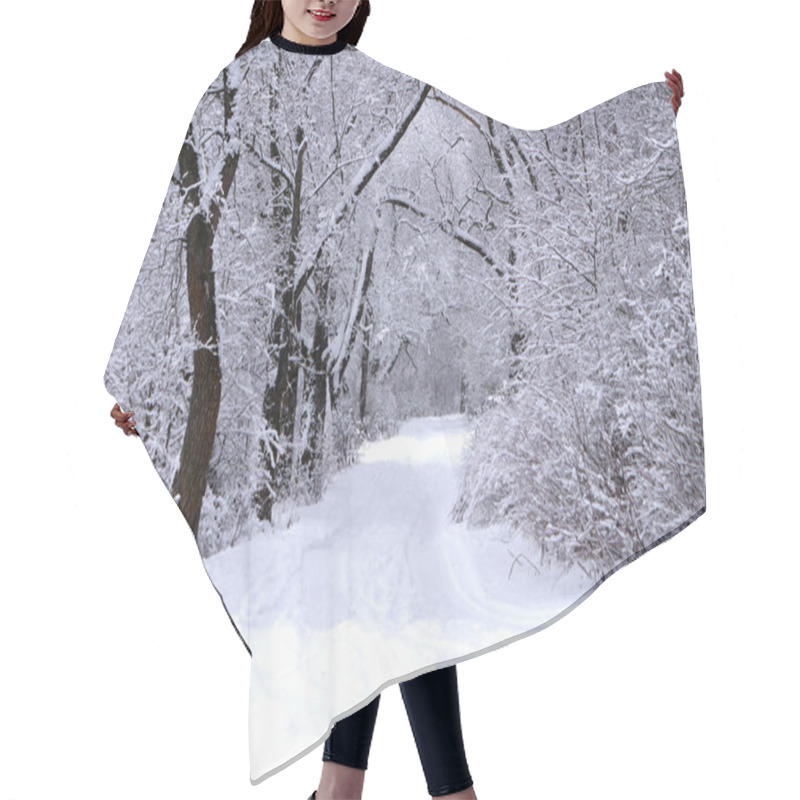 Personality  Alley In Snowy Morning Natural Nobody Rural, Hair Cutting Cape