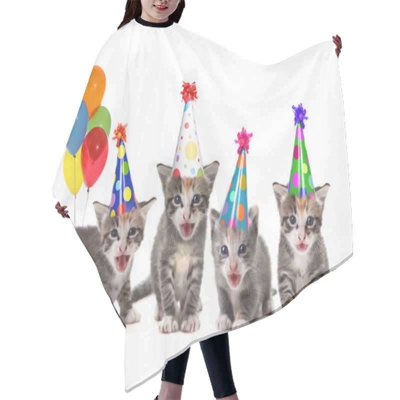 Personality  Birthday Song Singing Kittens On White Background Hair Cutting Cape