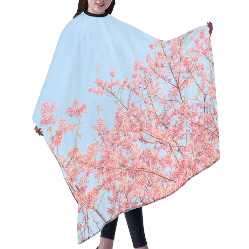 Personality  Blooming Sakura Trees   Hair Cutting Cape