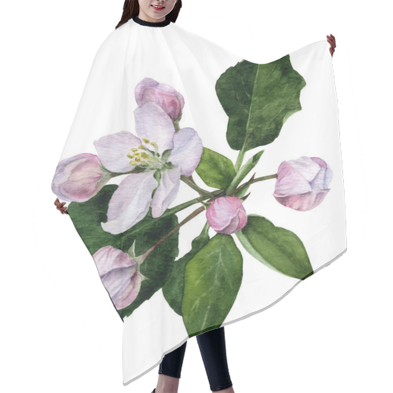 Personality  Picture Of Apple Flowers And Buds With Green Leaves Hand Painted In Watercolor Isolated On The White Background Hair Cutting Cape