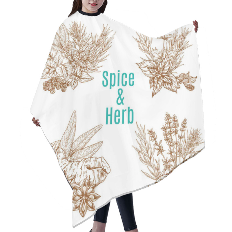 Personality  Vector Poster Of Spices Or Herbs Sketch Seasonings Hair Cutting Cape