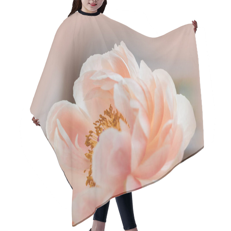 Personality  Peony Flowers Petals, Flora    Hair Cutting Cape