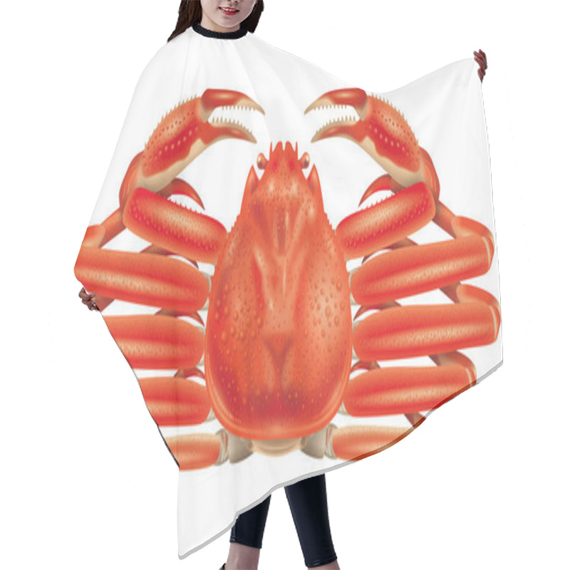 Personality  3D Illustration Of Snow Crab. White Background.  Hair Cutting Cape