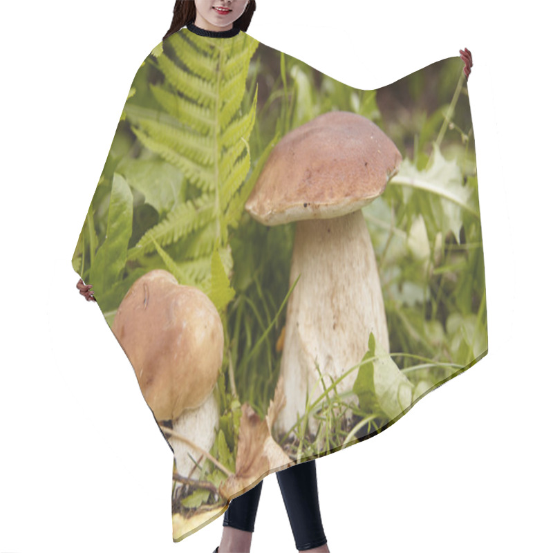 Personality  Boletus Edulis Hair Cutting Cape