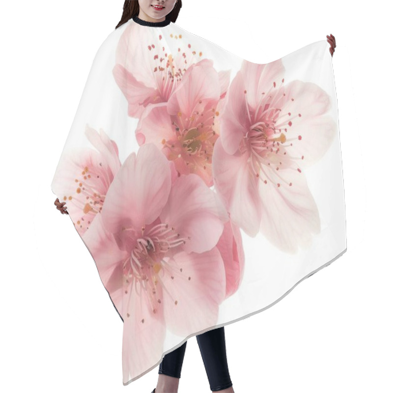 Personality  Delicate Pink Cherry Blossoms In Full Bloom, Showcasing Their Intricate Petals And Vibrant Stamens. Hair Cutting Cape