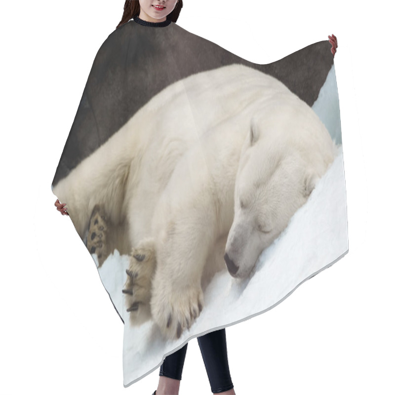 Personality  Sleeping Polar Bear Hair Cutting Cape