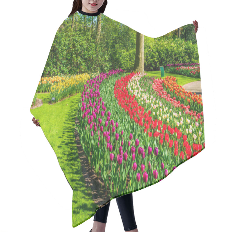 Personality  Beautiful Keukenhof Garden With Blooming Tulips, Holland Hair Cutting Cape