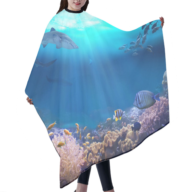 Personality  Underwater View Of The Coral Reef. Life In The Ocean. Hair Cutting Cape