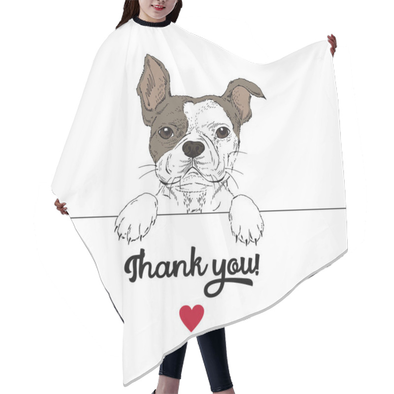 Personality  Cute Portrait Of French Bulldog Hair Cutting Cape