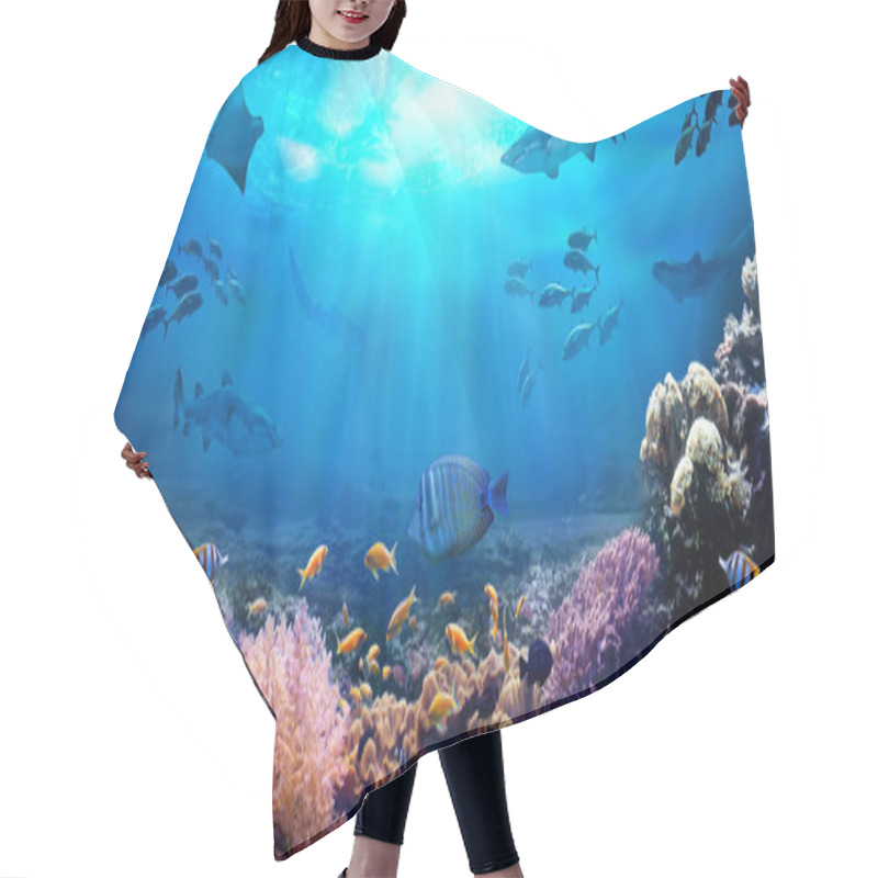 Personality  Underwater View Of The Coral Reef. Life In The Ocean. School Of Fish. Hair Cutting Cape