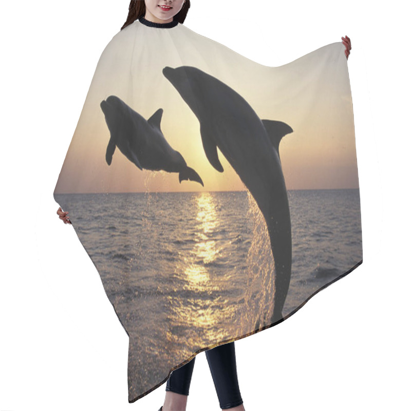 Personality  GRAND DAUPHIN Tursiops Truncatus Hair Cutting Cape