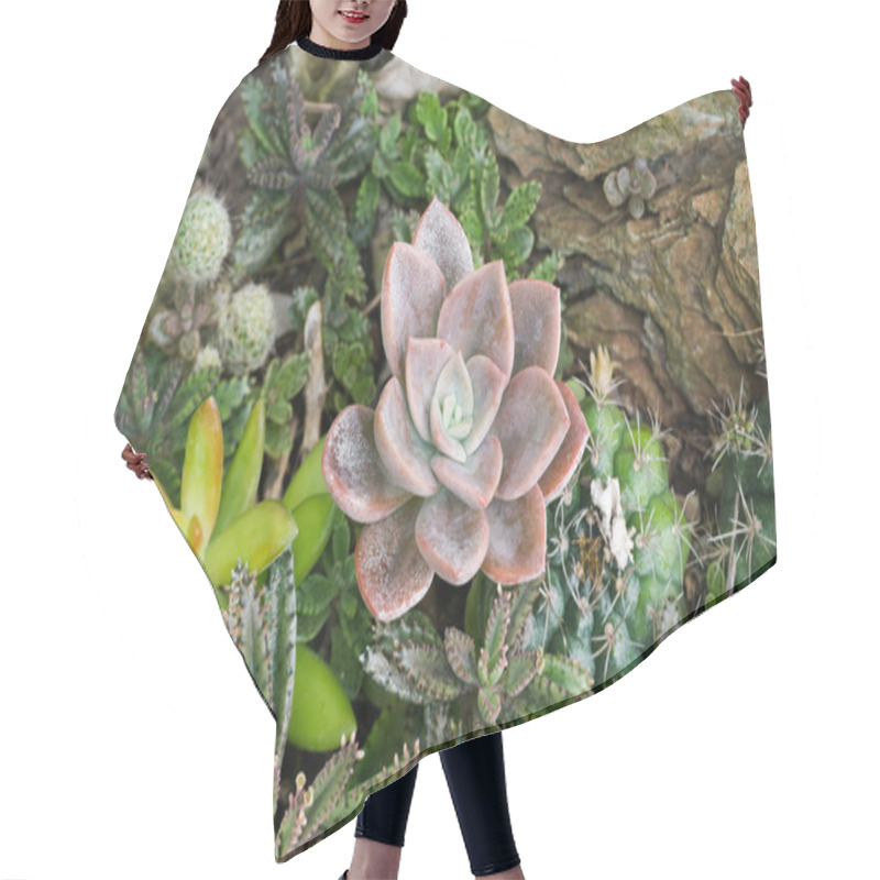 Personality  Cactus Desert Plant. Hair Cutting Cape