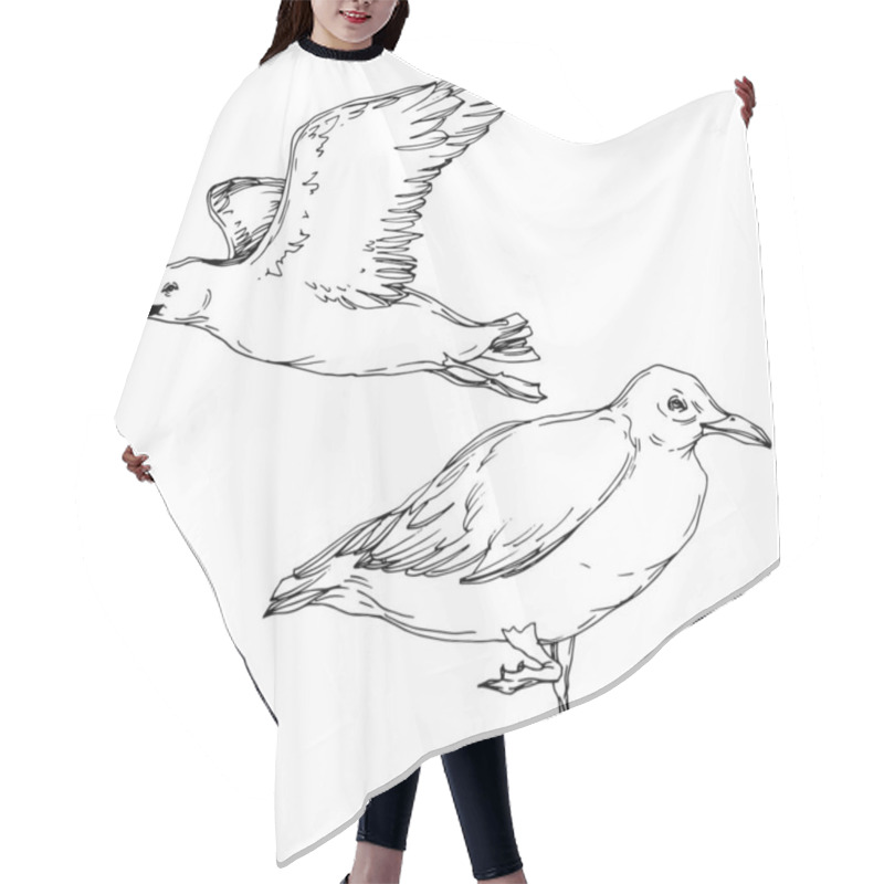 Personality  Vector Sky Bird Seagull In A Wildlife Isolated. Black And White Engraved Ink Art. Isolated Seagull Illustration Element. Hair Cutting Cape