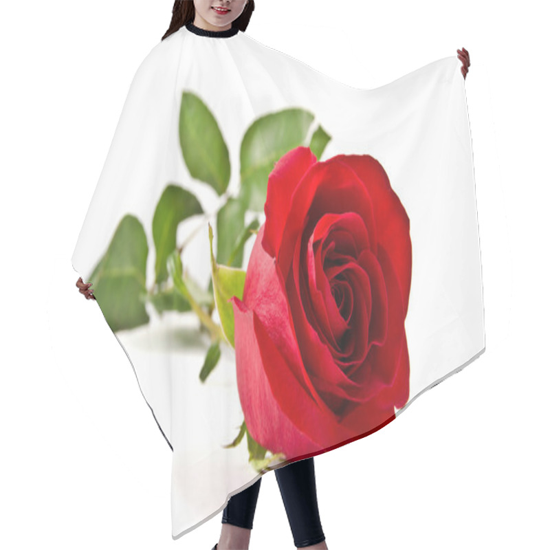 Personality  Red Rose Hair Cutting Cape