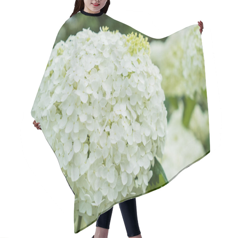 Personality  Beautiful Hydrangea Flowers Hair Cutting Cape