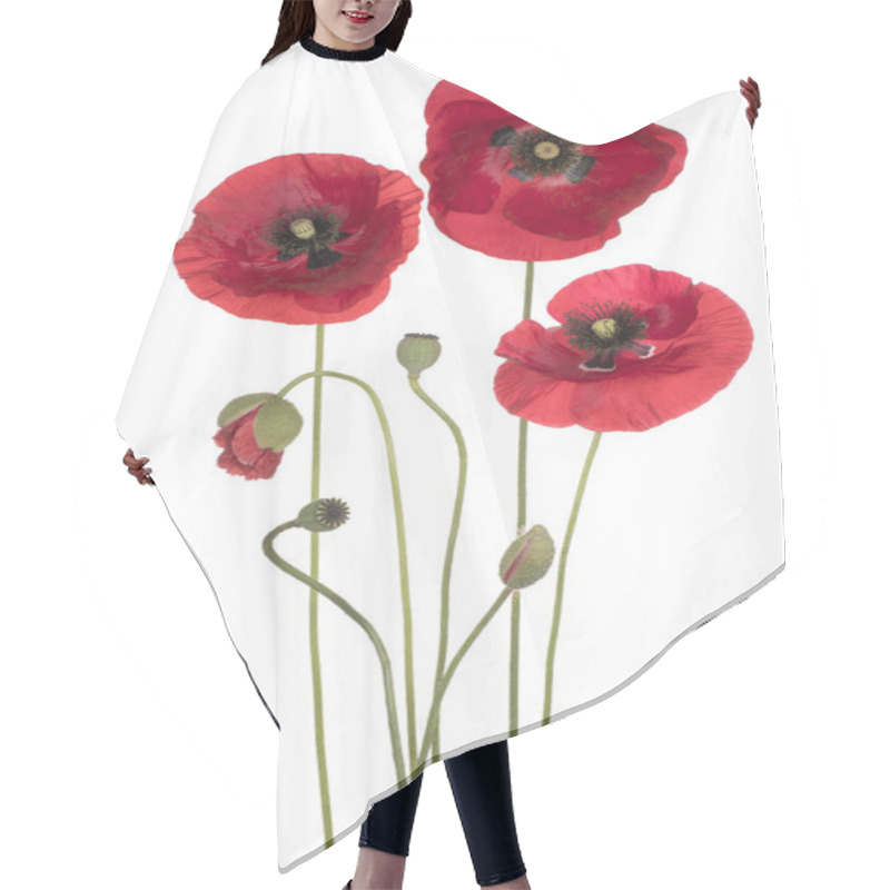 Personality  Poppy Flower Isolated Hair Cutting Cape