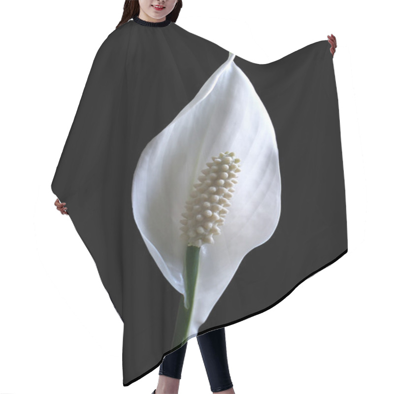 Personality  Calla Hair Cutting Cape