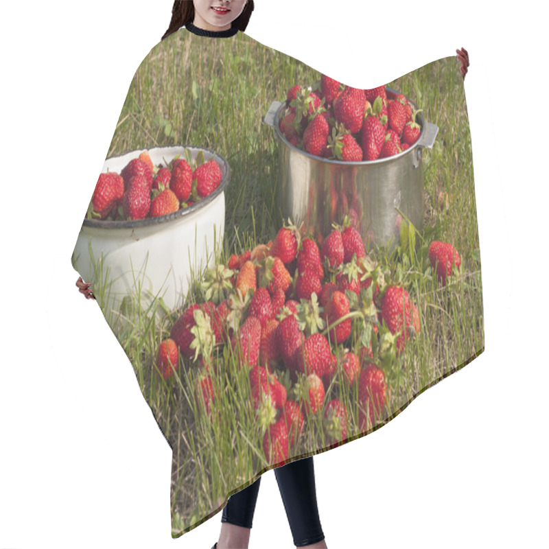 Personality  Fresh Strawberry Photo Hair Cutting Cape