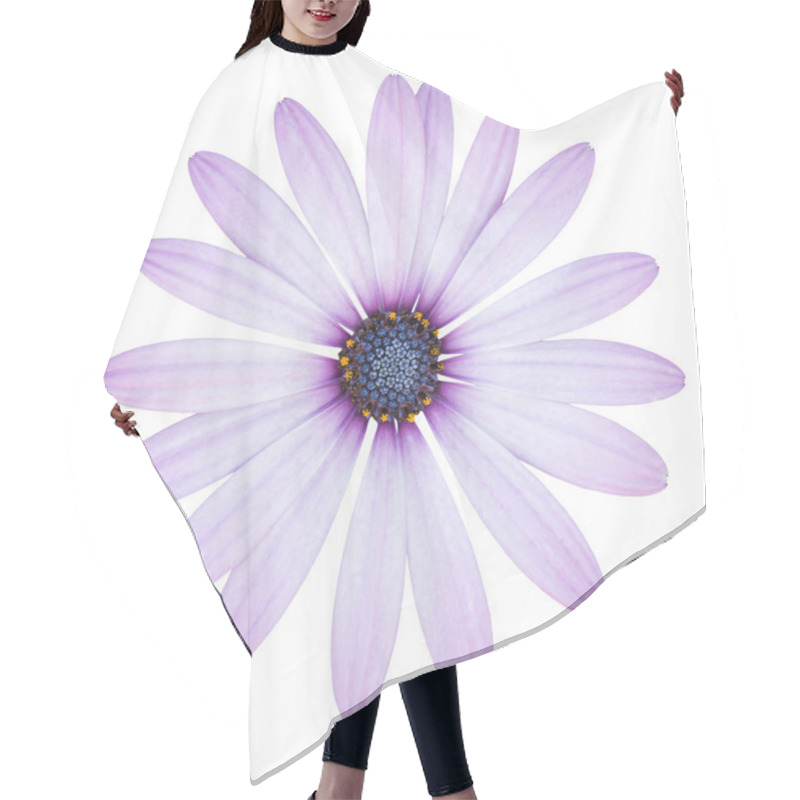 Personality  Blue Osteospermum Daisy Flower Isolated On White With Clipping P Hair Cutting Cape