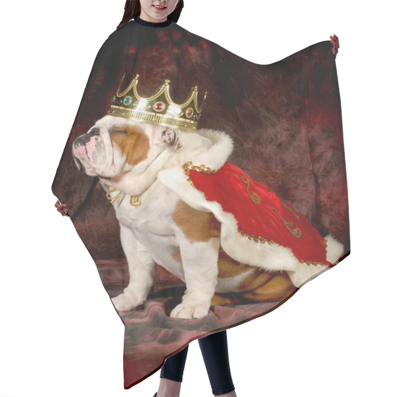 Personality  Spoiled Dog Hair Cutting Cape