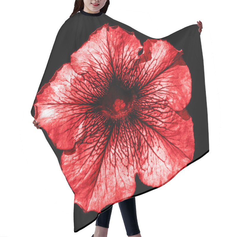 Personality  Surreal Dark Chrome Red Althea Flower Macro Isolated On Black Hair Cutting Cape