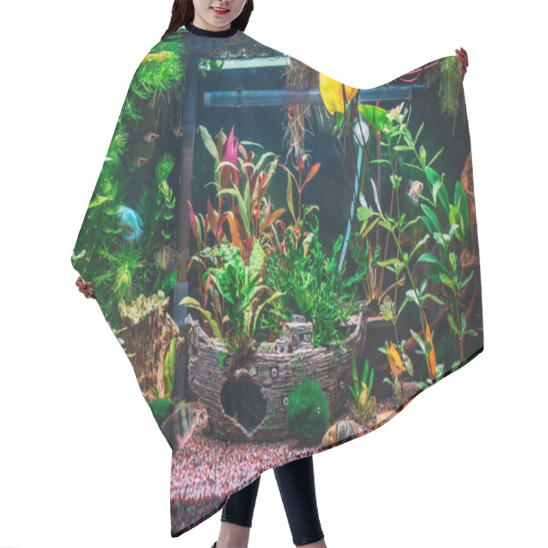 Personality  A Great Jungle Planted Aquarium Hair Cutting Cape